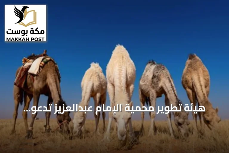 هيئة تطوير محمية الإمام عبدالعزيز تدعو الرعاة للالتزام بمواعيد مغادرة المراعي