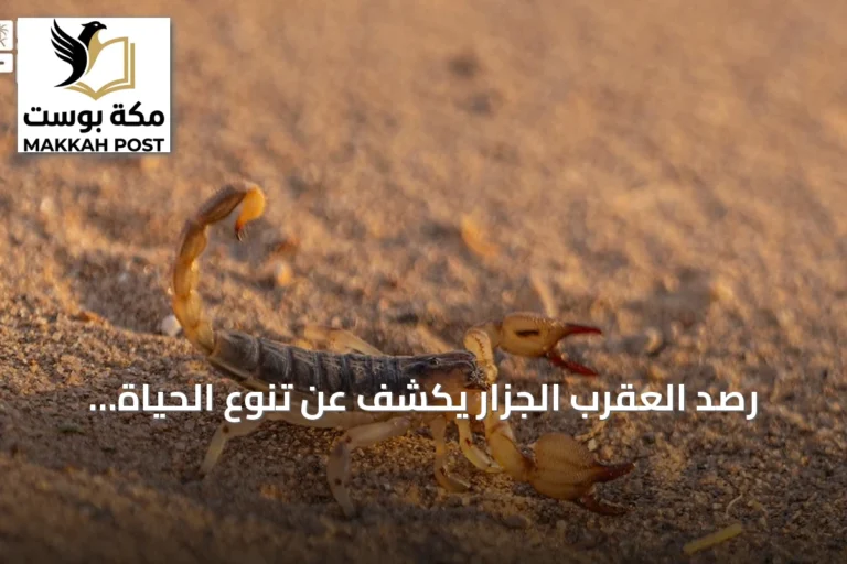 رصد العقرب الجزار يكشف عن تنوع الحياة الفطرية في الحدود الشمالية