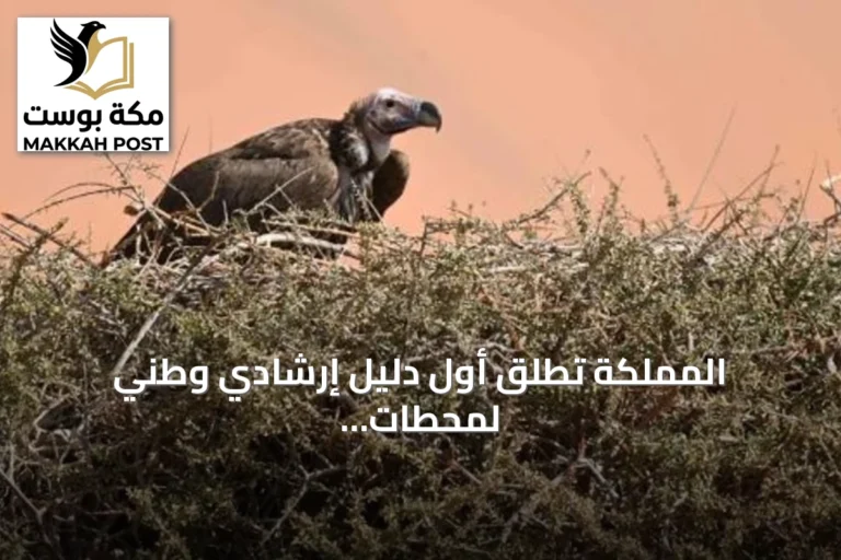 المملكة تطلق أول دليل إرشادي وطني لمحطات تغذية النسور بالتعاون مع خمس جهات دولية