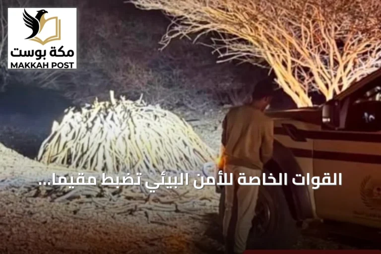 القوات الخاصة للأمن البيئي تضبط مقيمًا يمنيًا لتخزينه حطبًا محليًا في محمية الإمام بن تركي