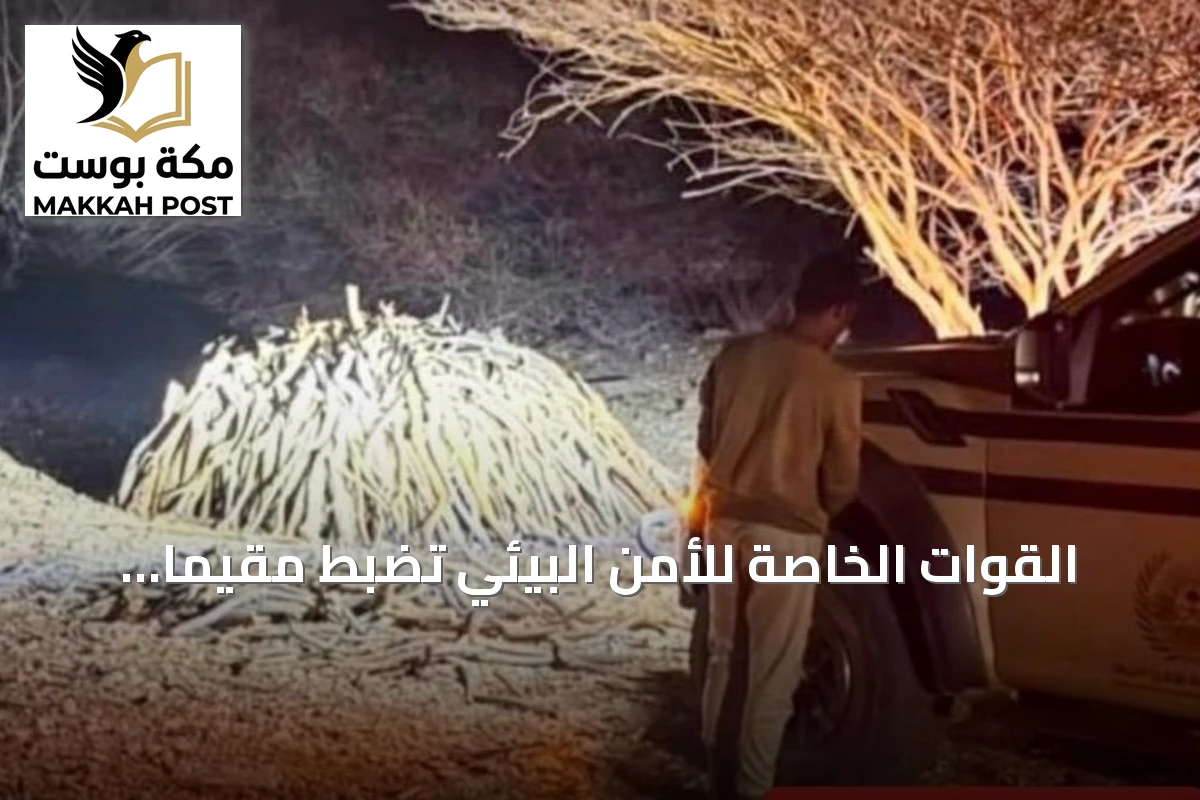 القوات الخاصة للأمن البيئي تضبط مقيمًا يمنيًا لتخزينه حطبًا محليًا في محمية الإمام بن تركي