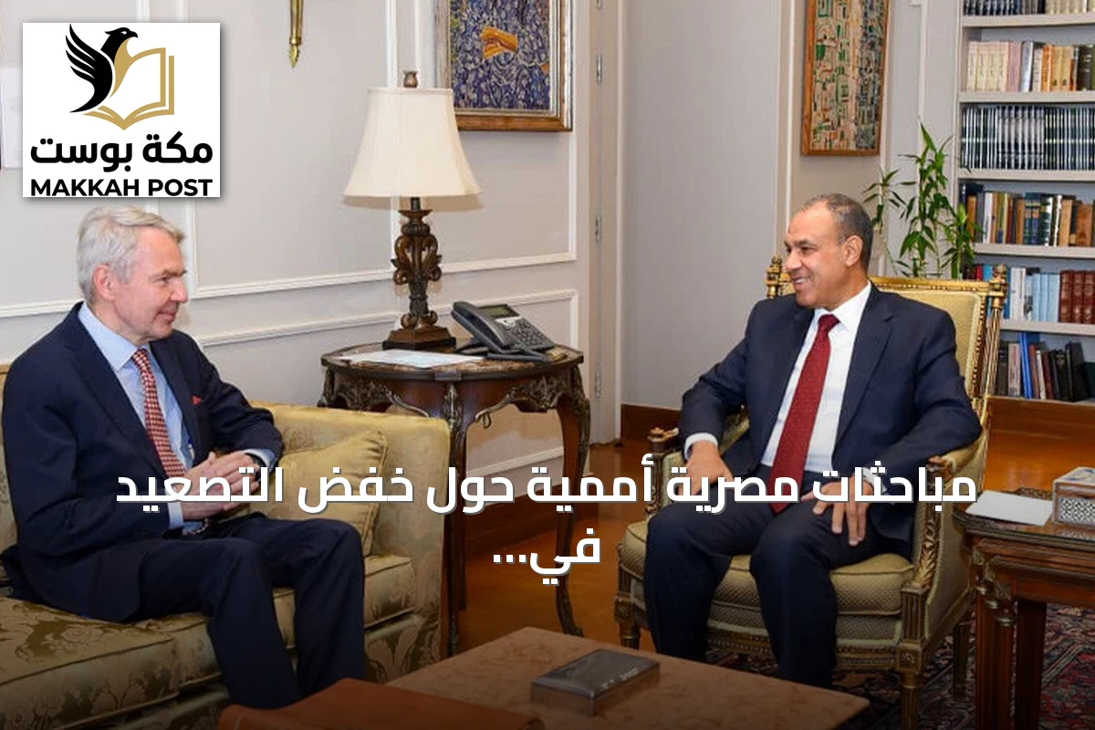 مباحثات مصرية أممية حول خفض التصعيد في السودان وتعزيز التهدئة