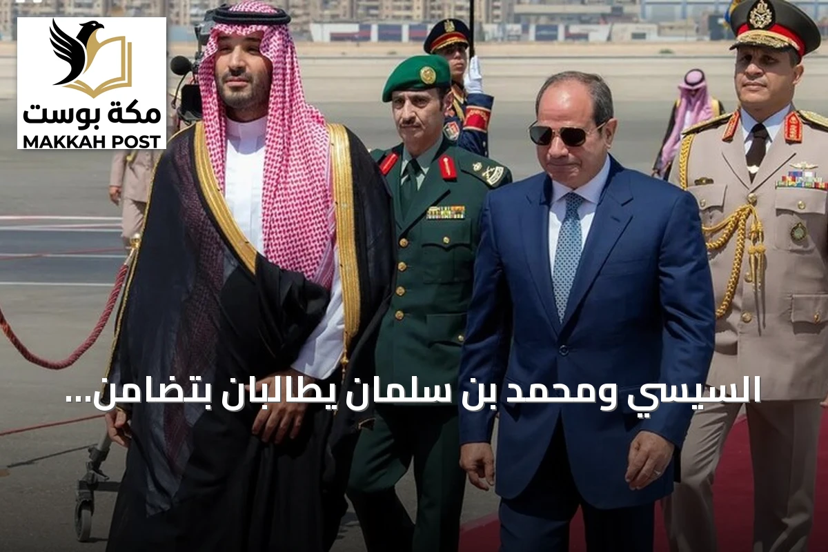 السيسي ومحمد بن سلمان يطالبان بتضامن مصري-سعودي أعمق لمواجهة التحديات الإقليمية