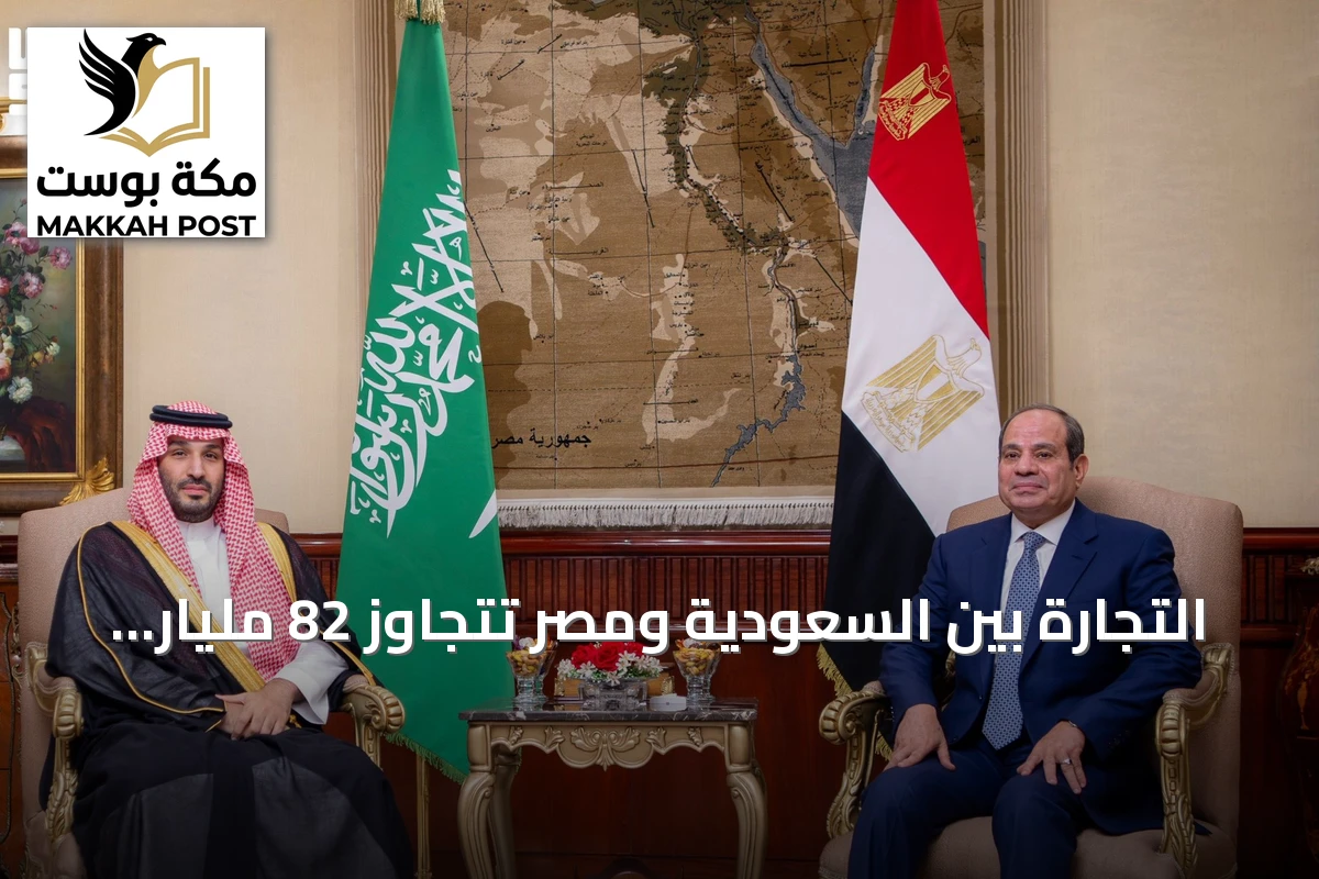 التجارة بين السعودية ومصر تتجاوز 82 مليار دولار في نصف عقد