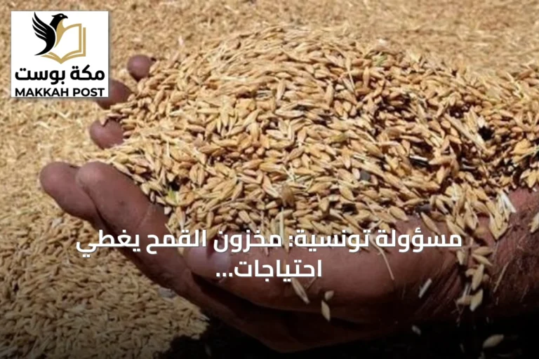 مسؤولة تونسية: مخزون القمح يغطي احتياجات تونس حتى يناير 2026