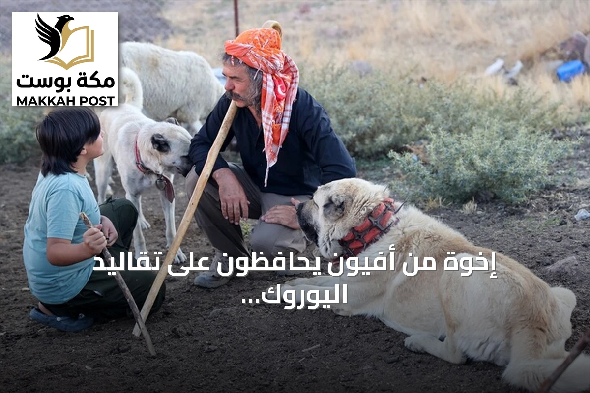 إخوة من أفيون يحافظون على تقاليد اليوروك بعيداً عن ضجيج المدينة