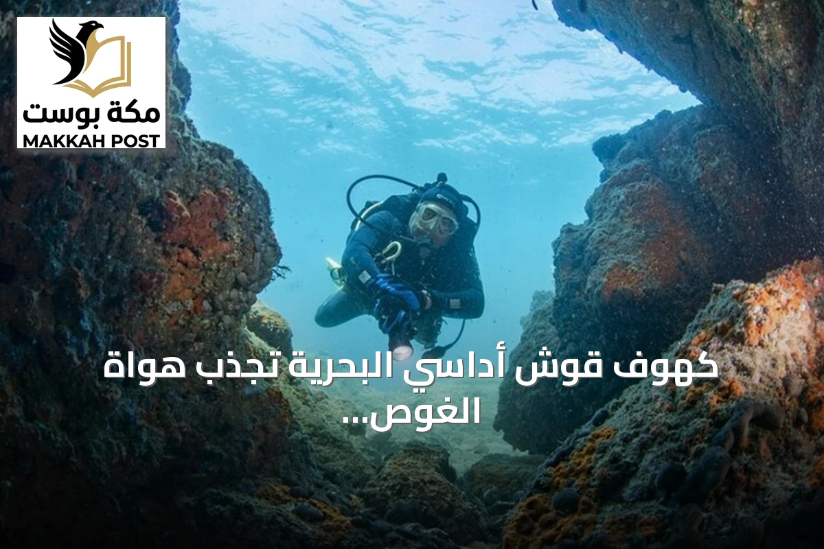 كهوف قوش أداسي البحرية تجذب هواة الغوص بفضل تنوعها البيولوجي