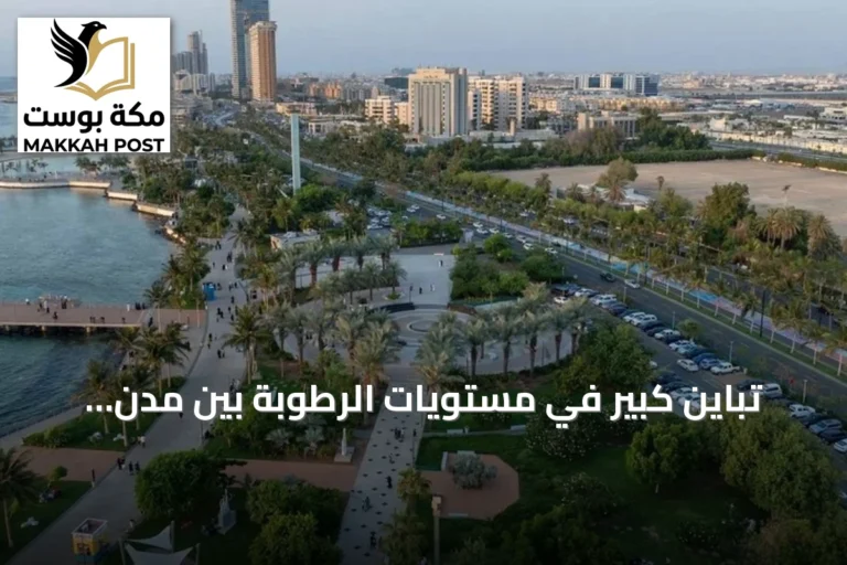 تباين كبير في مستويات الرطوبة بين مدن السعودية مع توقعات بأمطار ورياح وضباب