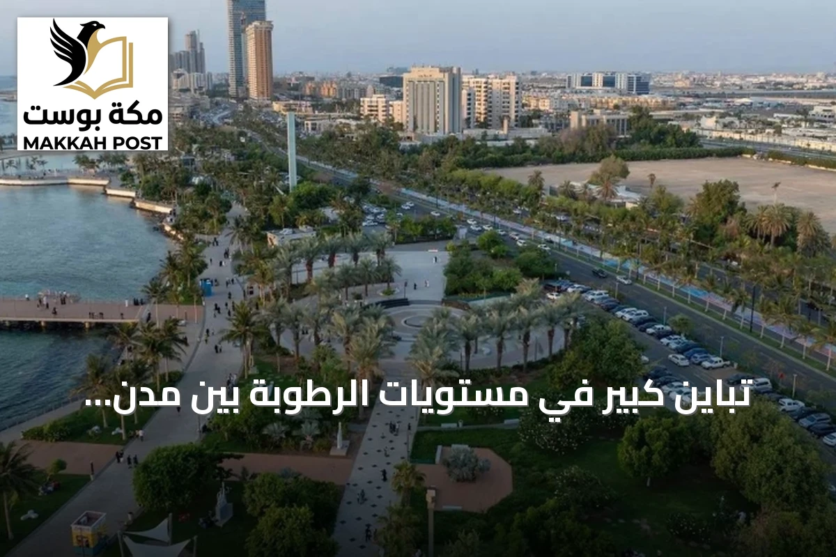 تباين كبير في مستويات الرطوبة بين مدن السعودية مع توقعات بأمطار ورياح وضباب