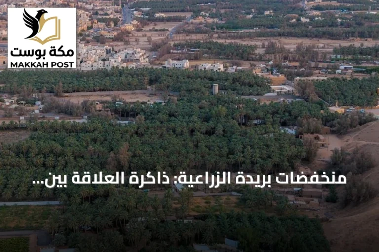 منخفضات بريدة الزراعية: ذاكرة العلاقة بين الإنسان والأرض في القصيم