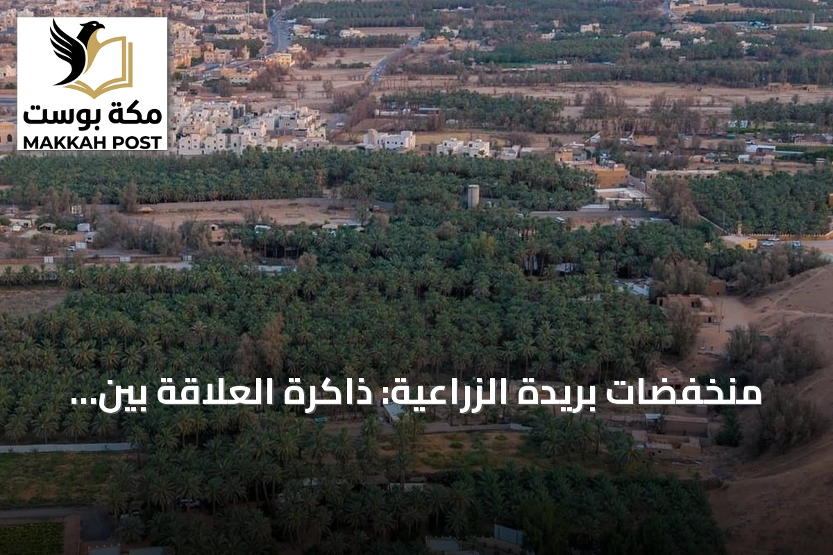 منخفضات بريدة الزراعية: ذاكرة العلاقة بين الإنسان والأرض في القصيم