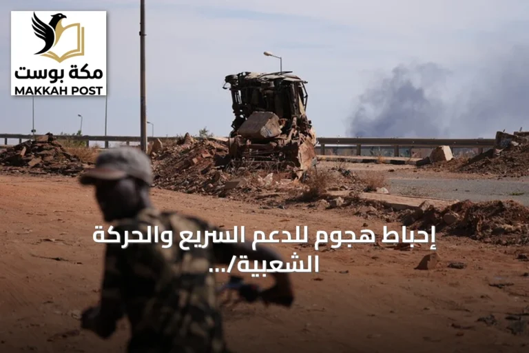 إحباط هجوم للدعم السريع والحركة الشعبية/ شمال بولاية النيل الأزرق