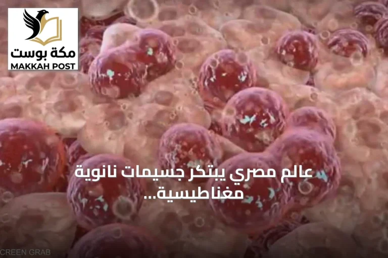 عالم مصري يبتكر جسيمات نانوية مغناطيسية لمكافحة الأورام ويحصل على ماري كوري 2026