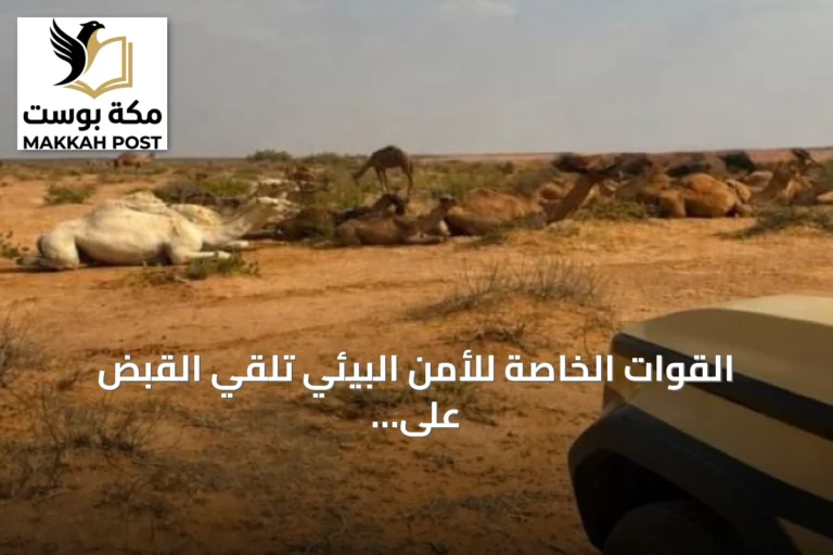 القوات الخاصة للأمن البيئي تلقي القبض على مواطن بسبب رعي 30 متنًا من الإبل بمناطق محظورة داخل محمية الإمام عبدالعزيز بن محمد الملكية