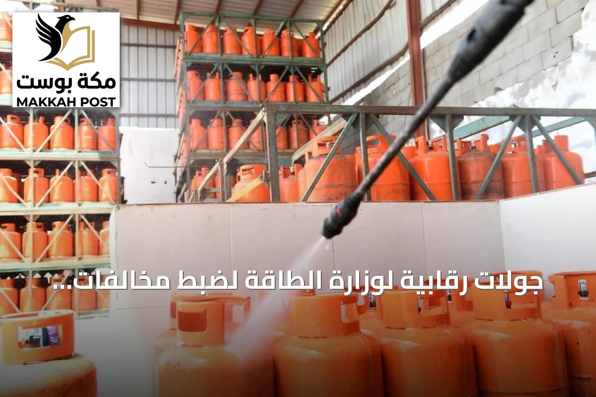 جولات رقابية لوزارة الطاقة لضبط مخالفات التراخيص