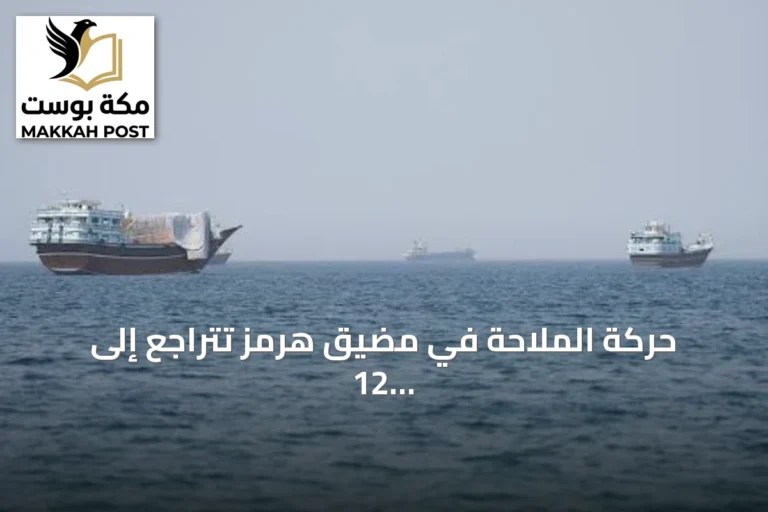 حركة الملاحة في مضيق هرمز تتراجع إلى 12 سفينة مع استمرار التوتر بين واشنطن وطهران
