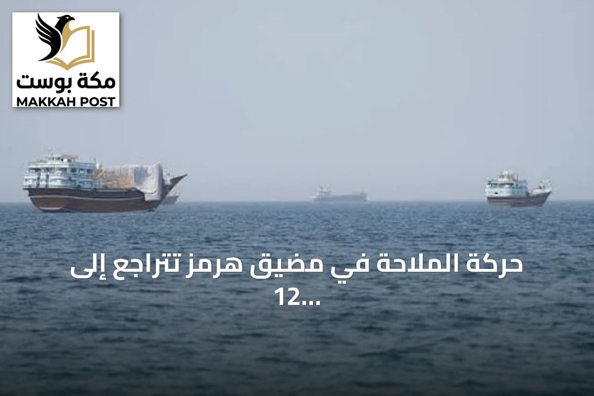 حركة الملاحة في مضيق هرمز تتراجع إلى 12 سفينة مع استمرار التوتر بين واشنطن وطهران