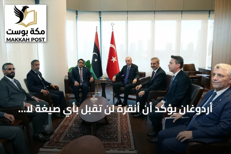 أردوغان يؤكد أن أنقرة لن تقبل بأي صيغة لا تخدم مصلحة ليبيا