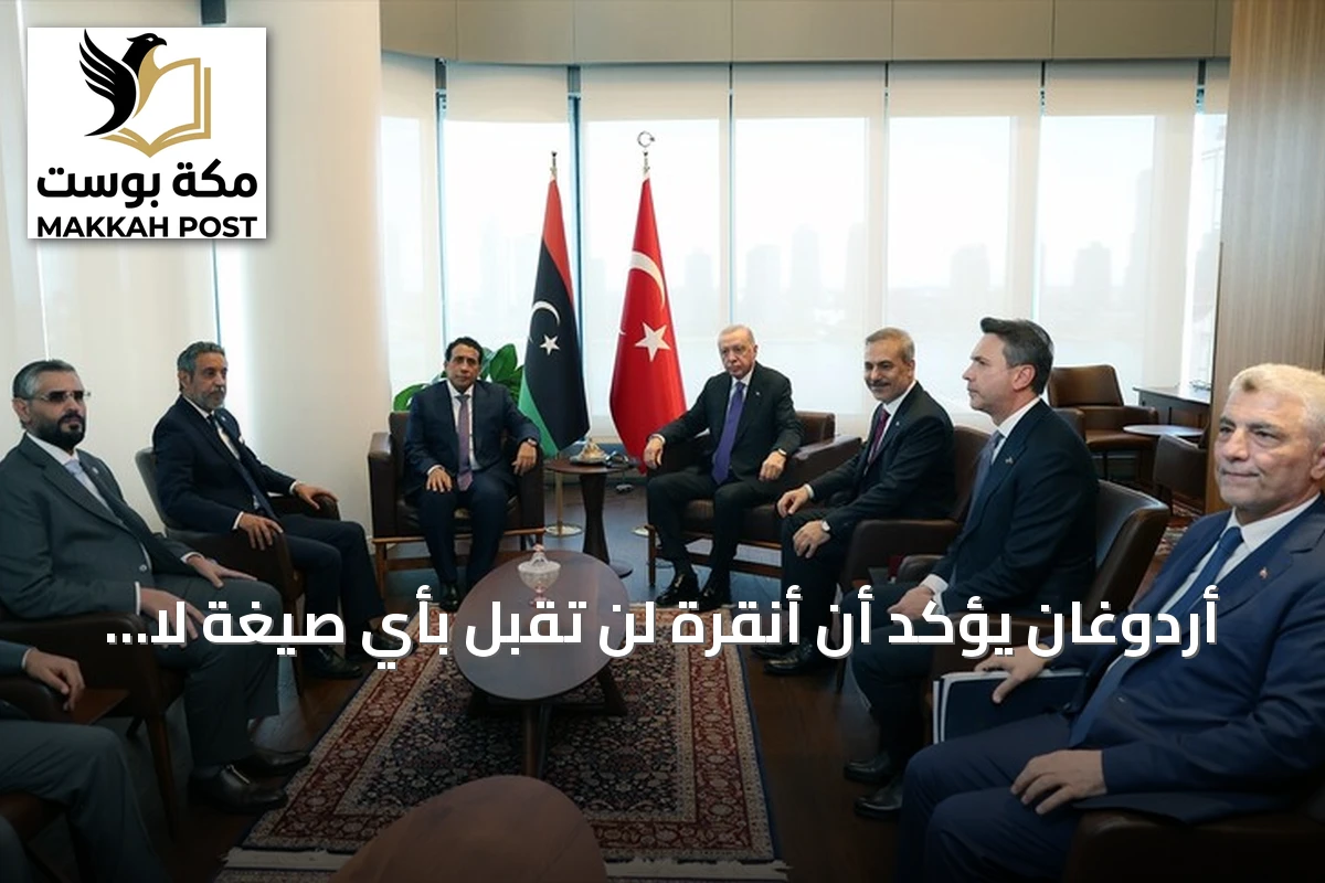 أردوغان يؤكد أن أنقرة لن تقبل بأي صيغة لا تخدم مصلحة ليبيا