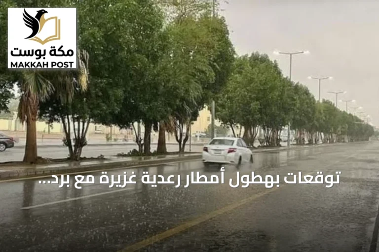 توقعات بهطول أمطار رعدية غزيرة مع برد ورياح نشطة في عدة مناطق سعودية