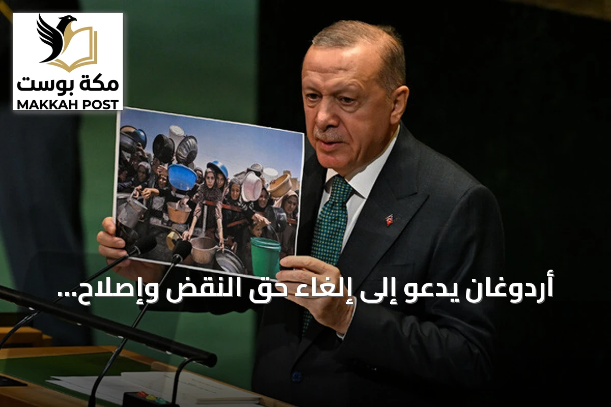 أردوغان يدعو إلى إلغاء حق النقض وإصلاح جذري لمجلس الأمن الدولي