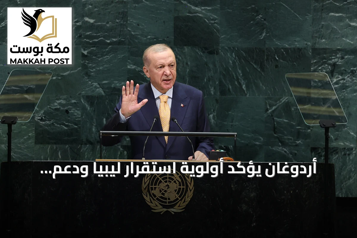 أردوغان يؤكد أولوية استقرار ليبيا ودعم السلام في السودان والصومال خلال الجمعية العامة للأمم المتحدة 2026
