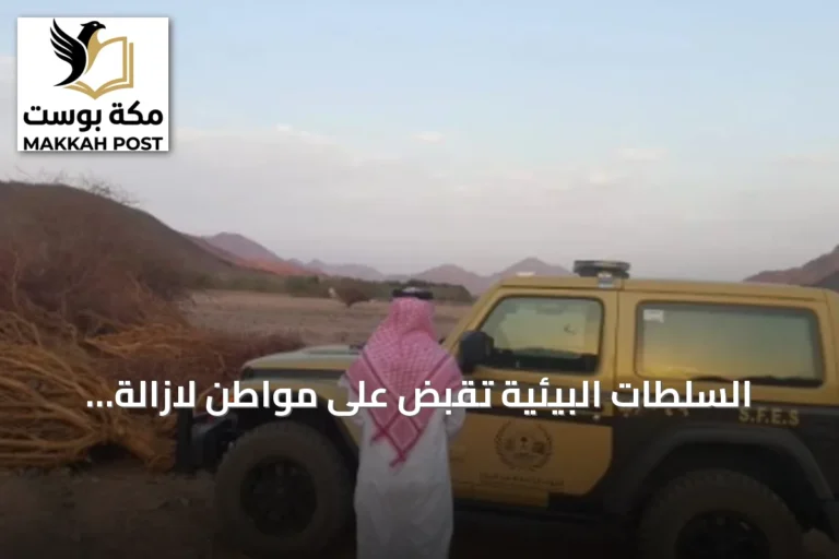 السلطات البيئية تقبض على مواطن لازالة أشجار دون إذن في المدينة المنورة