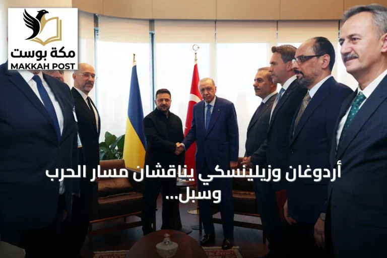 أردوغان وزيلينسكي يناقشان مسار الحرب وسبل تعزيز التعاون