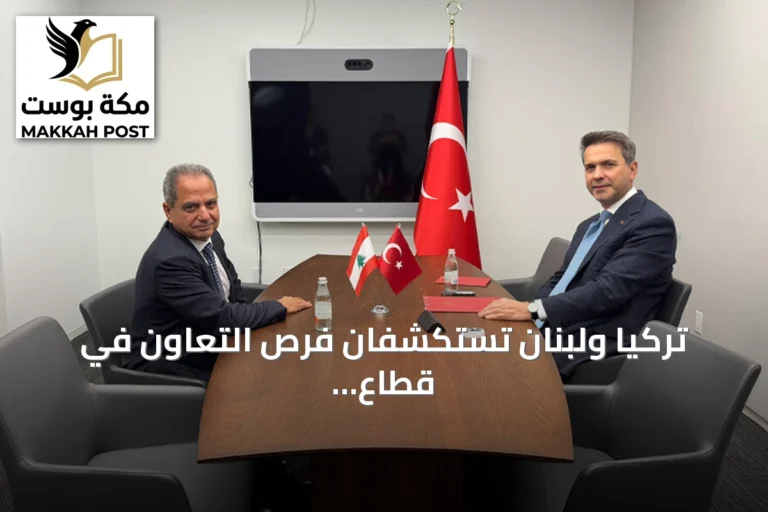 تركيا ولبنان تستكشفان فرص التعاون في قطاع الطاقة
