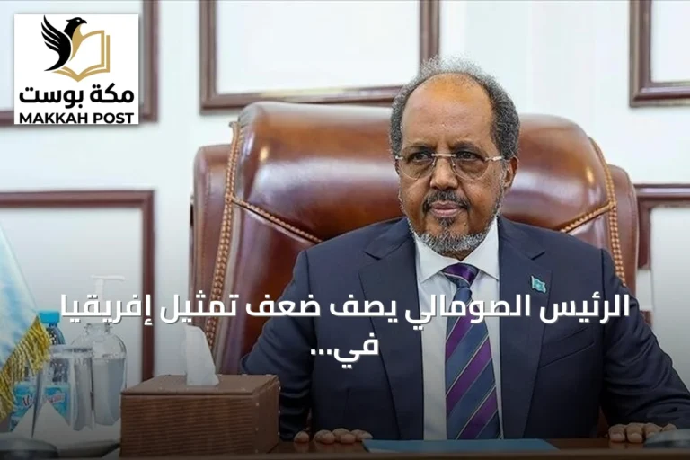 الرئيس الصومالي يصف ضعف تمثيل إفريقيا في مجلس الأمن بالظلم التاريخي