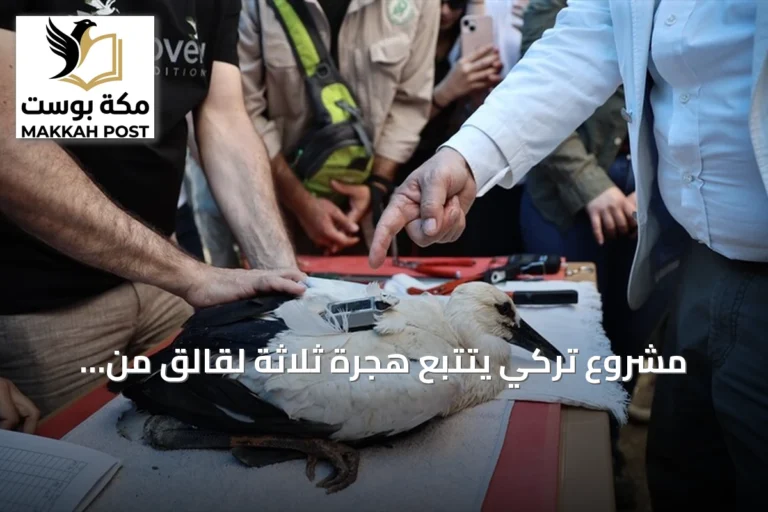 مشروع تركي يتتبع هجرة ثلاثة لقالق من سينوب إلى مصر وسوريا