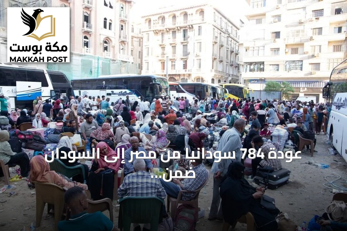 عودة 784 سودانياً من مصر إلى السودان ضمن رحلة عودة طوعية