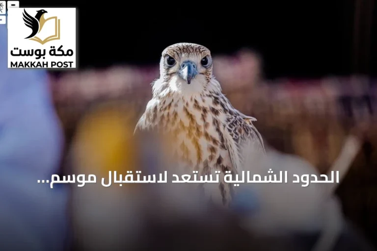 الحدود الشمالية تستعد لاستقبال موسم المقناص وجذب هواة الصقارة من السعودية والخليج