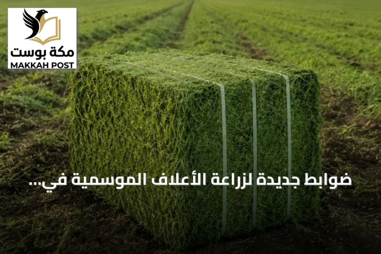 ضوابط جديدة لزراعة الأعلاف الموسمية في السعودية تشترط كفاءة ري 75%