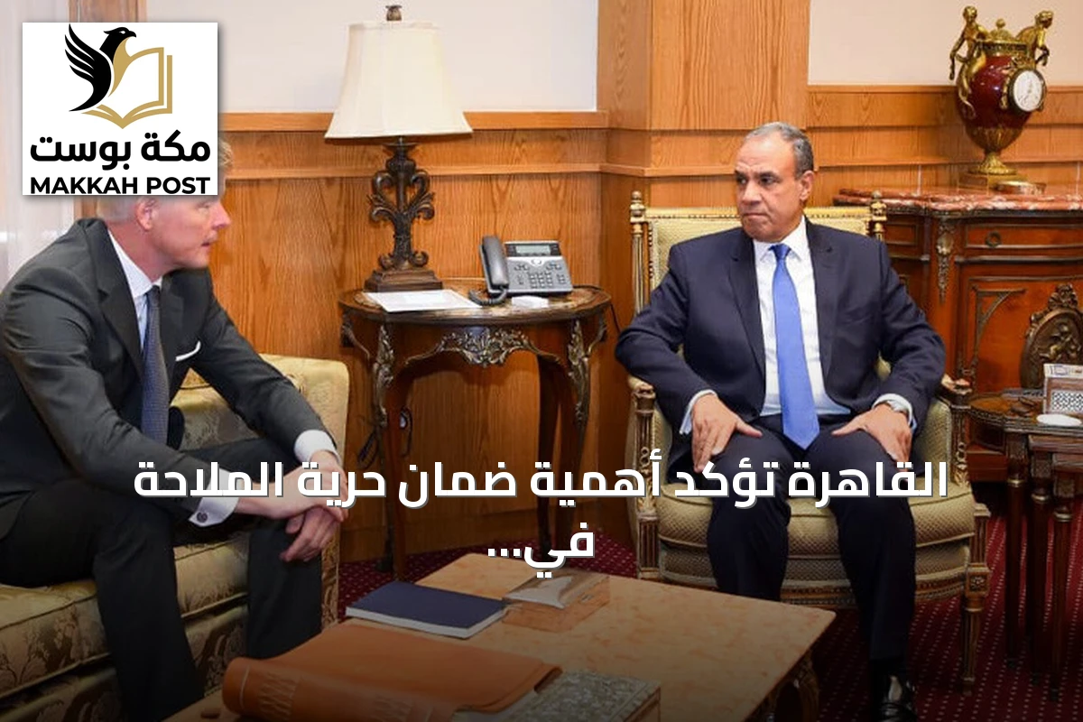 القاهرة تؤكد أهمية ضمان حرية الملاحة في البحر الأحمر ومضيق باب المندب