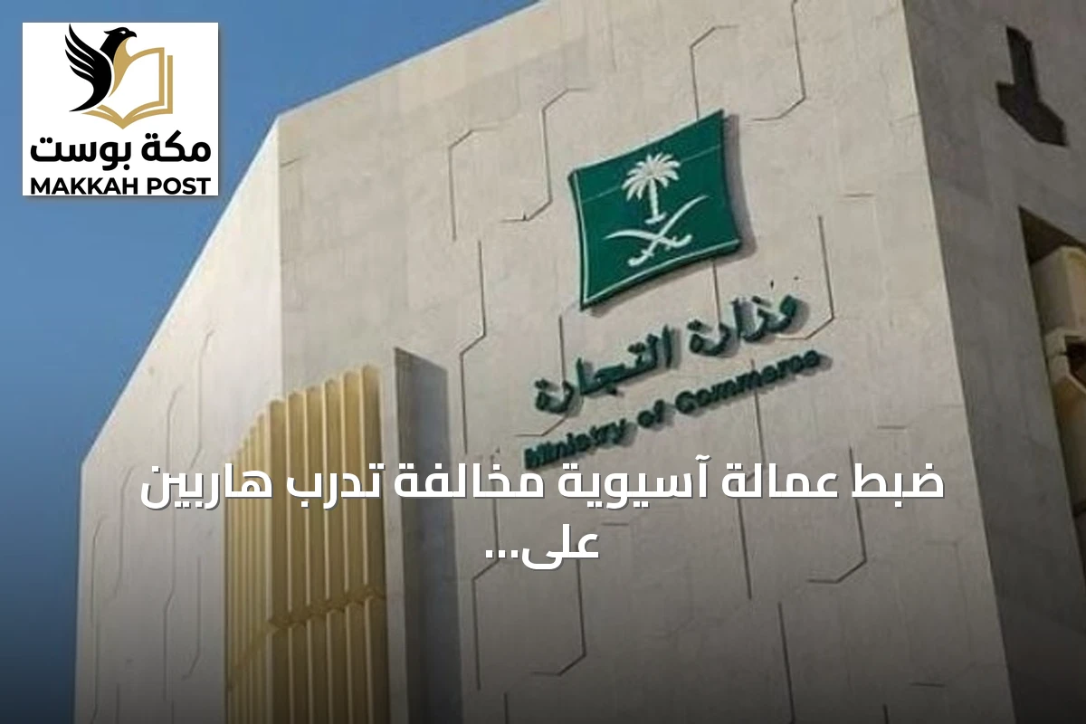ضبط عمالة آسيوية مخالفة تدرب هاربين على إدارة متاجر إلكترونية بالرياض