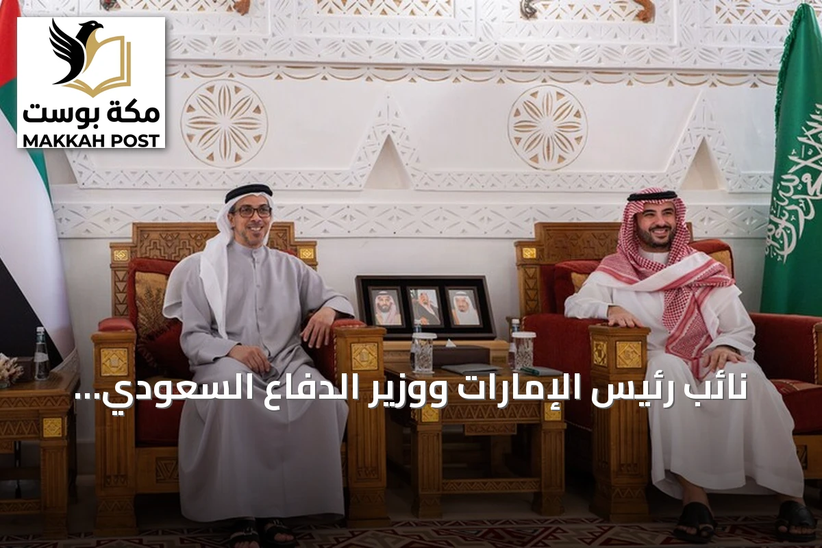 نائب رئيس الإمارات ووزير الدفاع السعودي يبحثان تعزيز التعاون الثنائي