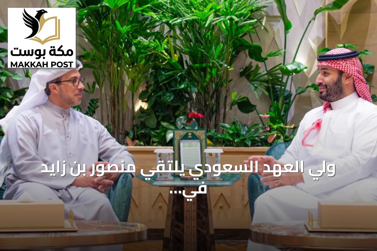 ولي العهد السعودي يلتقي منصور بن زايد في الرياض لتعزيز العلاقات الثنائية