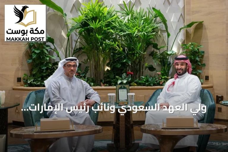 ولي العهد السعودي ونائب رئيس الإمارات يبحثان تطورات المنطقة في الرياض