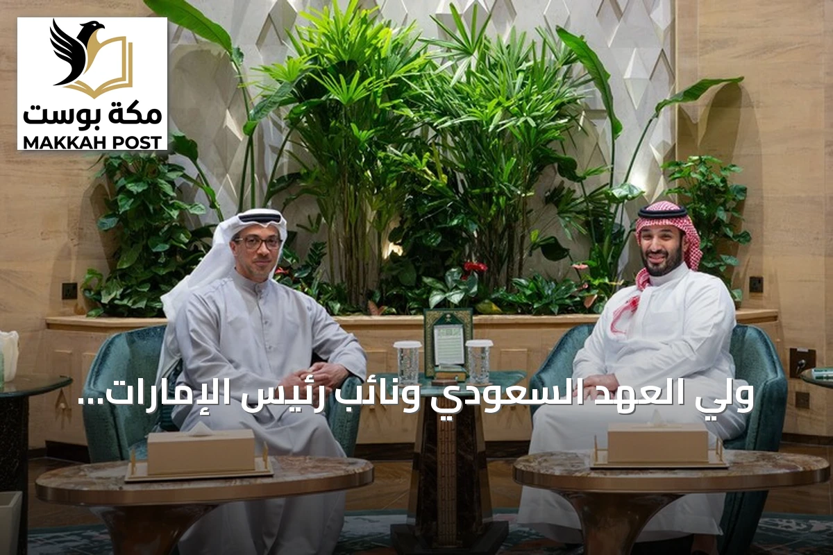 ولي العهد السعودي ونائب رئيس الإمارات يبحثان تطورات المنطقة في الرياض