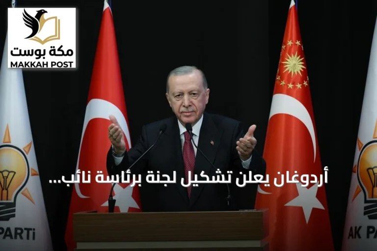 أردوغان يعلن تشكيل لجنة برئاسة نائب الرئيس لتصفية صناديق الاستثمار