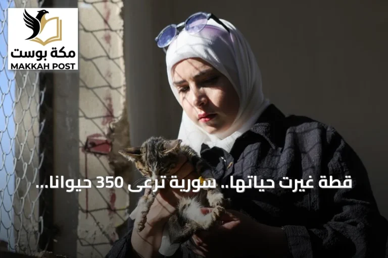 قطة غيرت حياتها.. سورية ترعى 350 حيوانا في مأوى بحمص