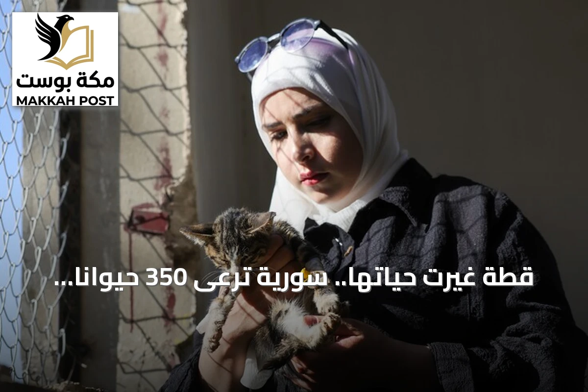 قطة غيرت حياتها.. سورية ترعى 350 حيوانا في مأوى بحمص