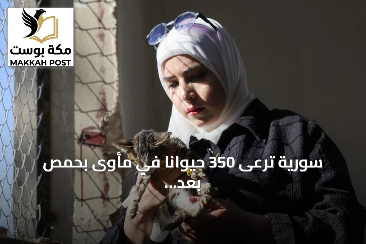 سورية ترعى 350 حيواناً في مأوى بحمص بعد إنقاذ قطة غيرت حياتها