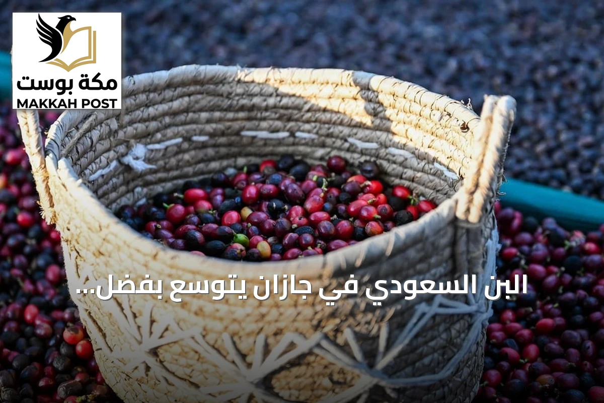 البن السعودي في جازان يتوسع بفضل الاستثمارات وبرامج التمويل