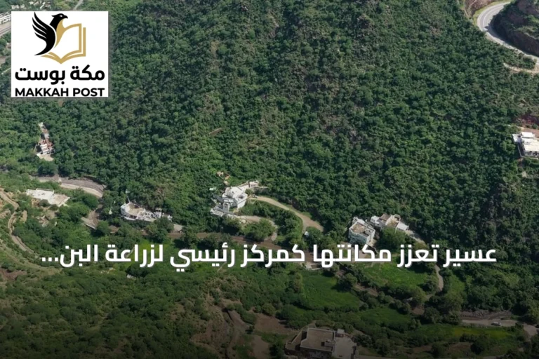 عسير تعزز مكانتها كمركز رئيسي لزراعة البن السعودي بإنتاج قياسي ومبادرات مستقبلية