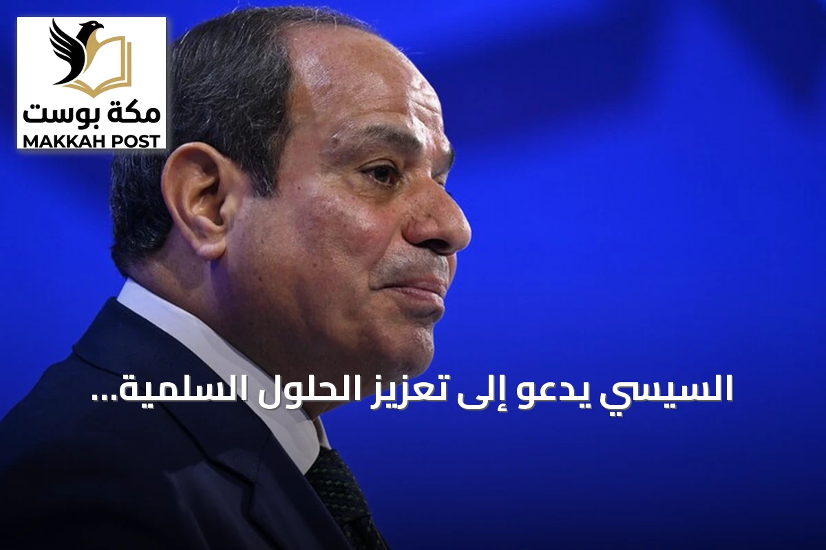 السيسي يدعو إلى تعزيز الحلول السلمية للأزمات في القارة الإفريقية