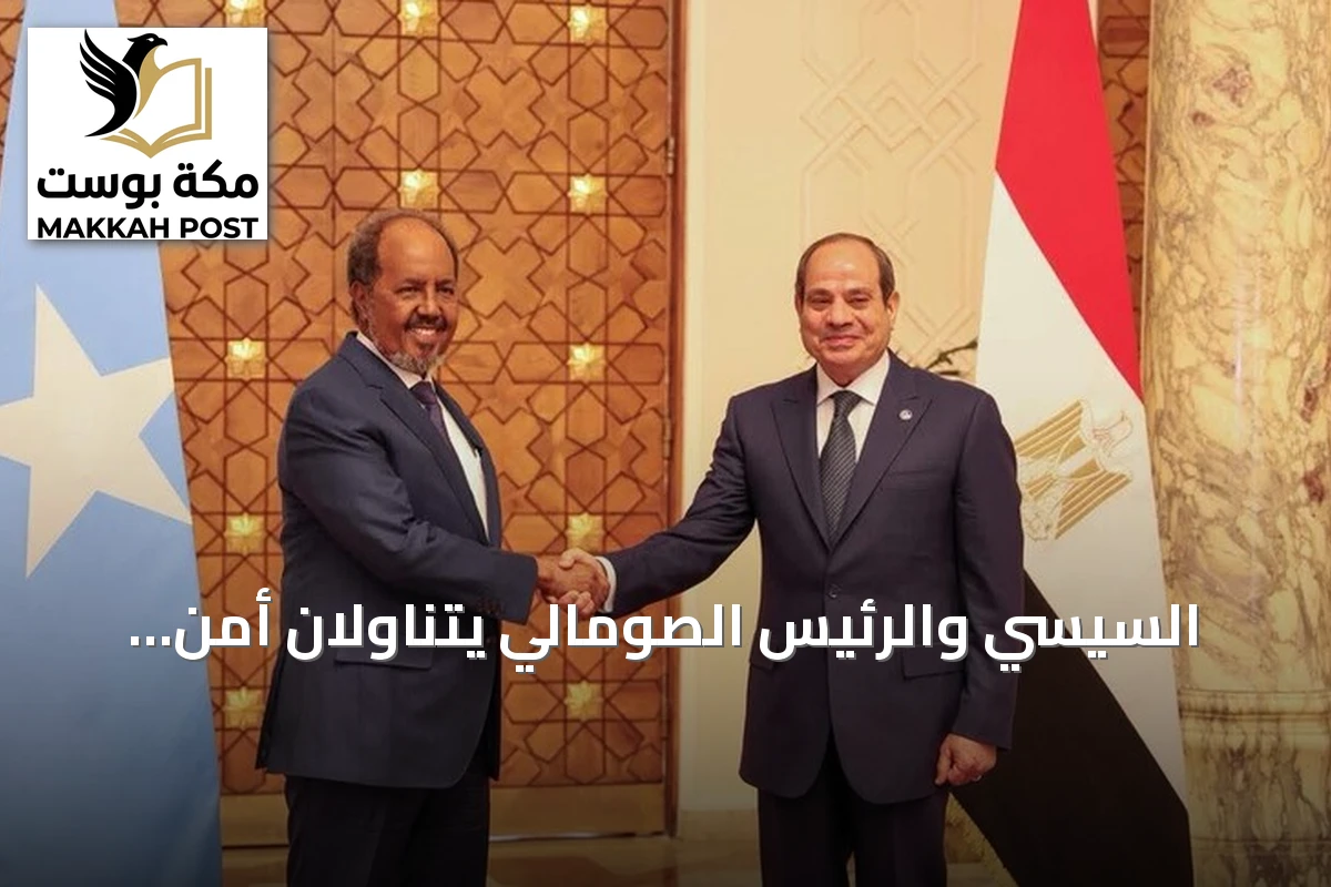 السيسي والرئيس الصومالي يتناولان أمن القرن الإفريقي والبحر الأحمر في لقاء بالعلمين الجديدة