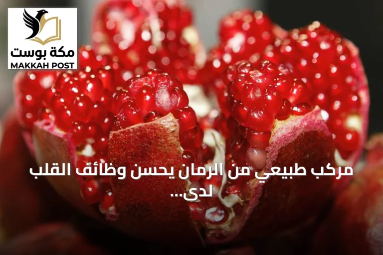 مركب طبيعي من الرمان يحسن وظائف القلب لدى الفئران بنسبة تصل إلى 80%
