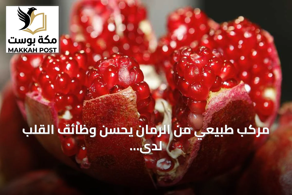 مركب طبيعي من الرمان يحسن وظائف القلب لدى الفئران بنسبة تصل إلى 80%